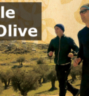 Banner image - The People and the Olive