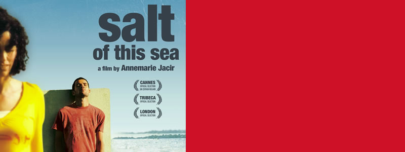 banner for Salt of this Sea